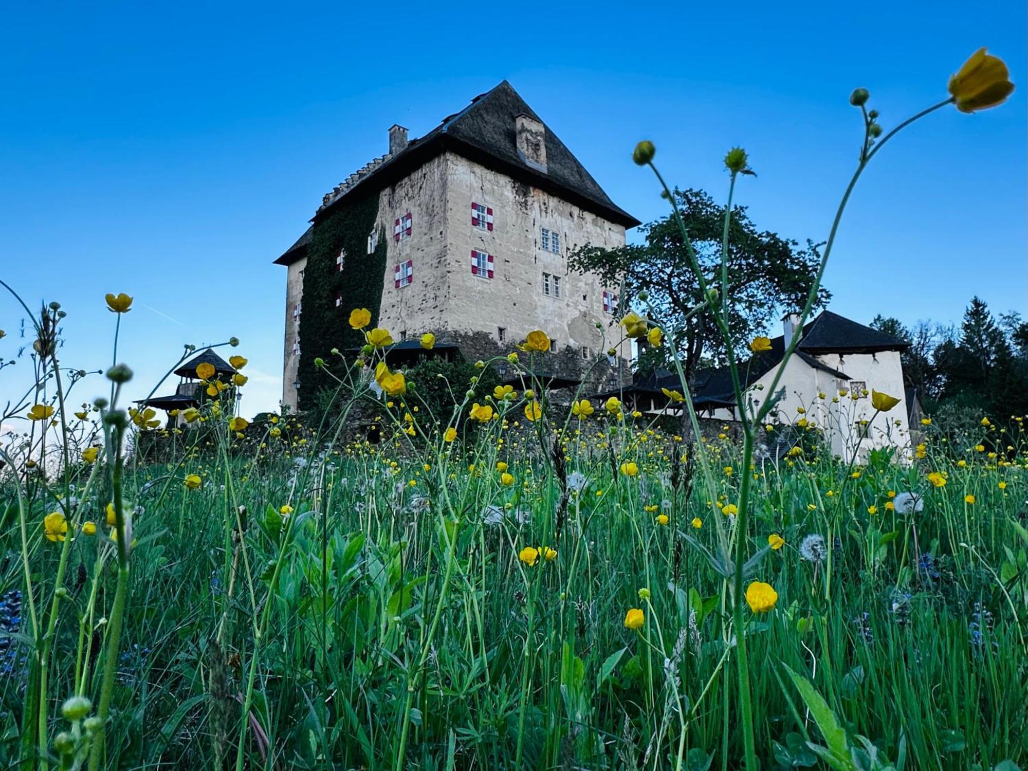 Schloss Moosburg Gaestehaus Exterior foto